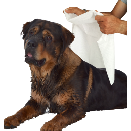 5 PET TOWELS Disposable In...